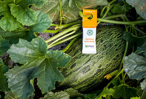 Новый Swirski Ulti-Mite для контроля над трипсом