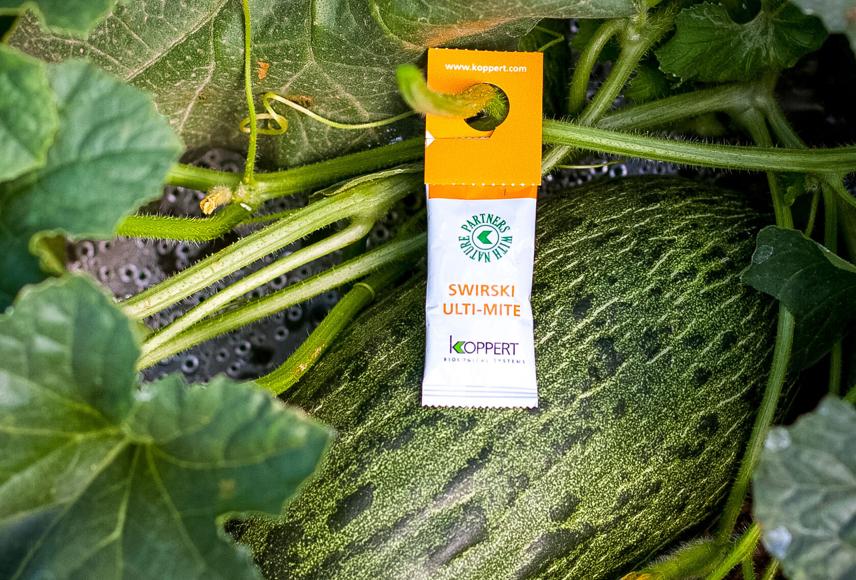 Swirski Ulti-Mite номинант категории "Инновация 2018" на FRUIT LOGISTICA