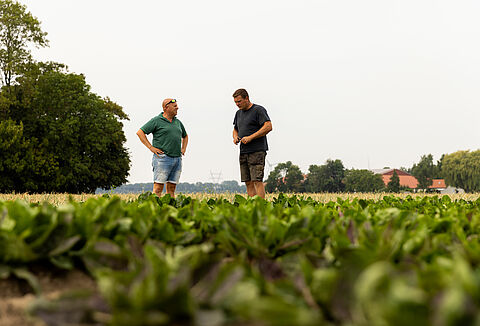 К будущему без химикатов в сельском хозяйстве: Видение фермера Коэна