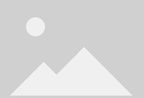 Шалотовая тля