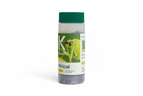 Mirical