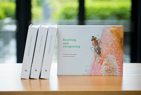 Справочник "Knowing & recognizing"