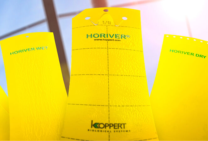 «Поймай их всех!»: пополнение в линейке клеевых ловушек Horiver