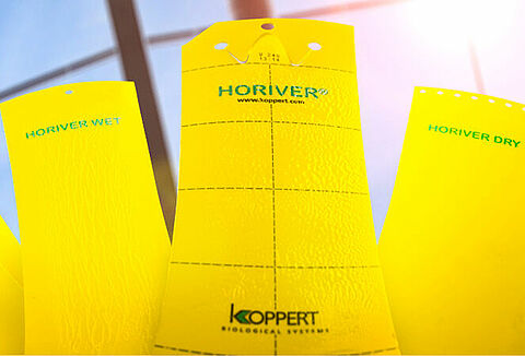 «Поймай их всех!»: пополнение в линейке клеевых ловушек Horiver