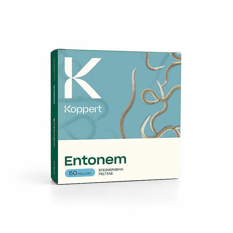 Entonem - Steinernema feltiae