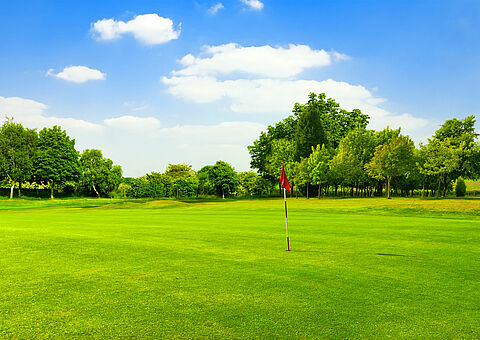 Дерн и трава