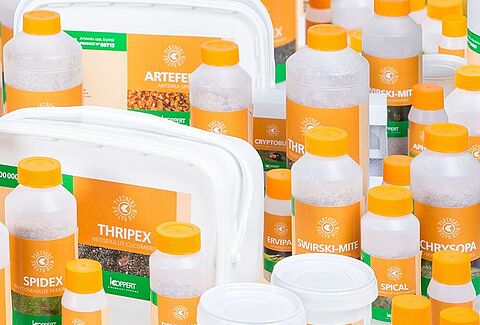 Новые «умные» этикетки для наших продуктов