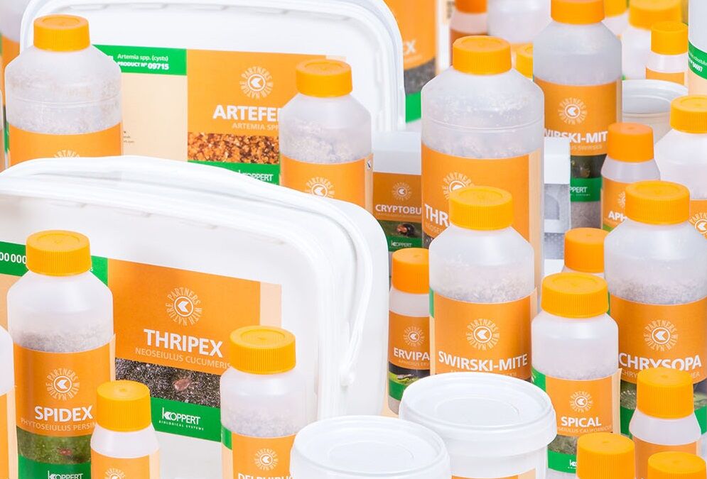 Новые «умные» этикетки для наших продуктов