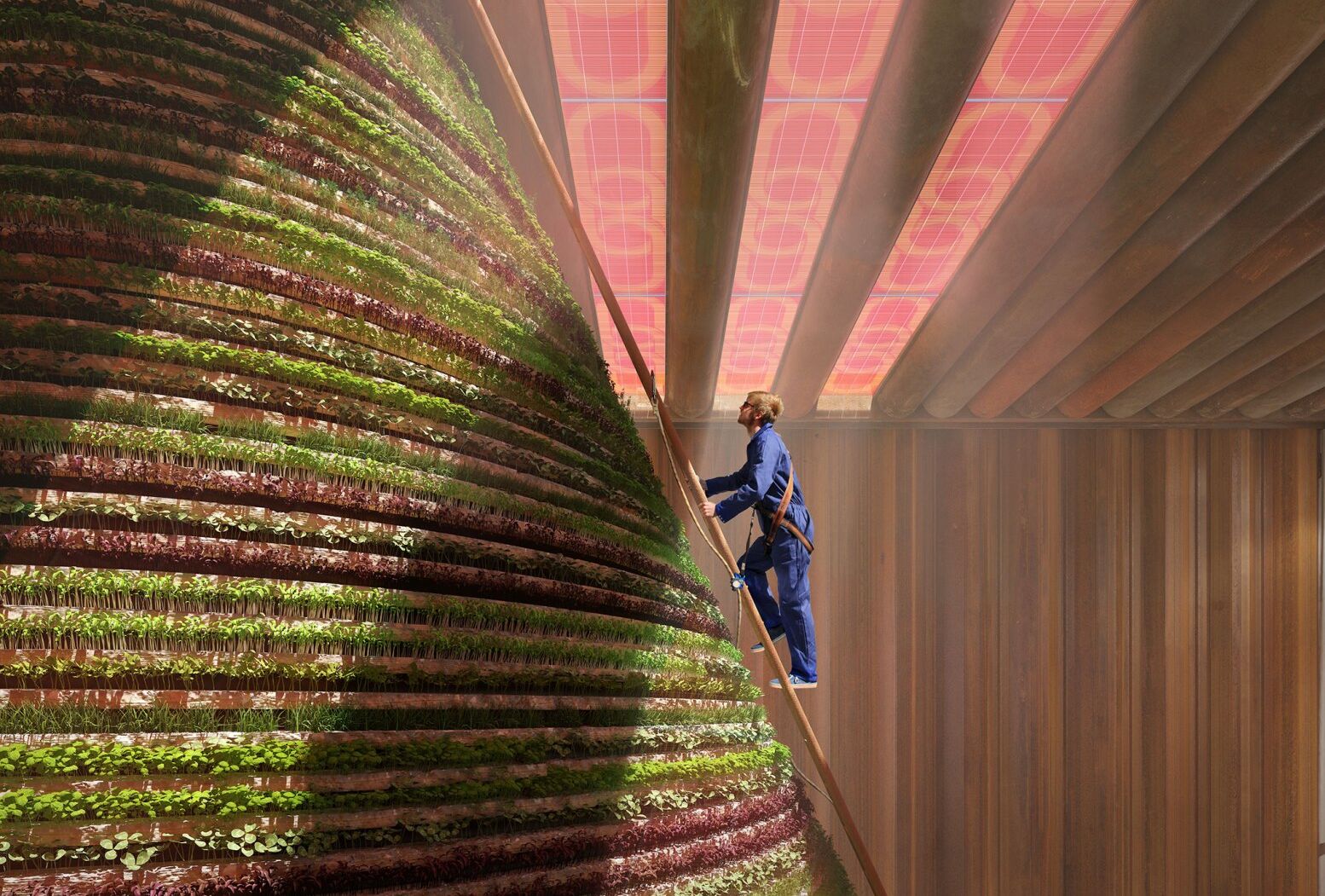 Выставка «Экспо-2020» в Дубае: Koppert B.V. будет спонсором со стороны Нидерландов