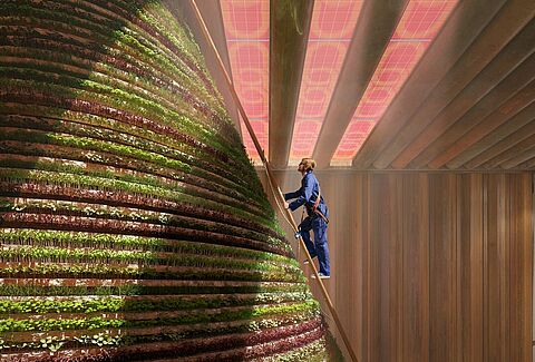 Выставка «Экспо-2020» в Дубае: Koppert B.V. будет спонсором со стороны Нидерландов