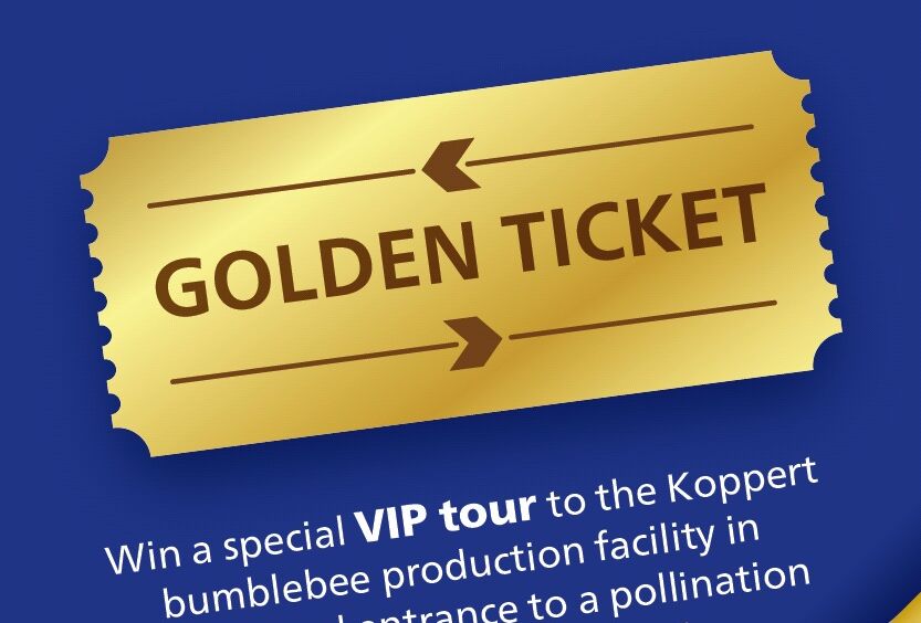 «Золотой билет» с Natupol!