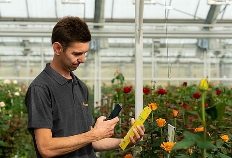 Меньше использования химических пестицидов благодаря Natutec Scout