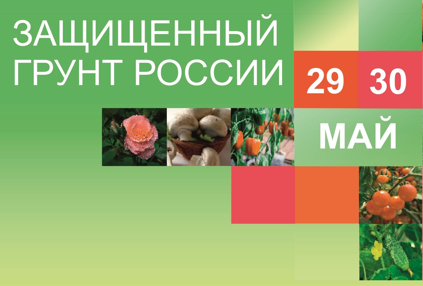 Выставка «Защищенный грунт России» 2019