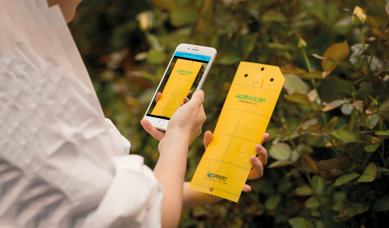 Horiver Scout App