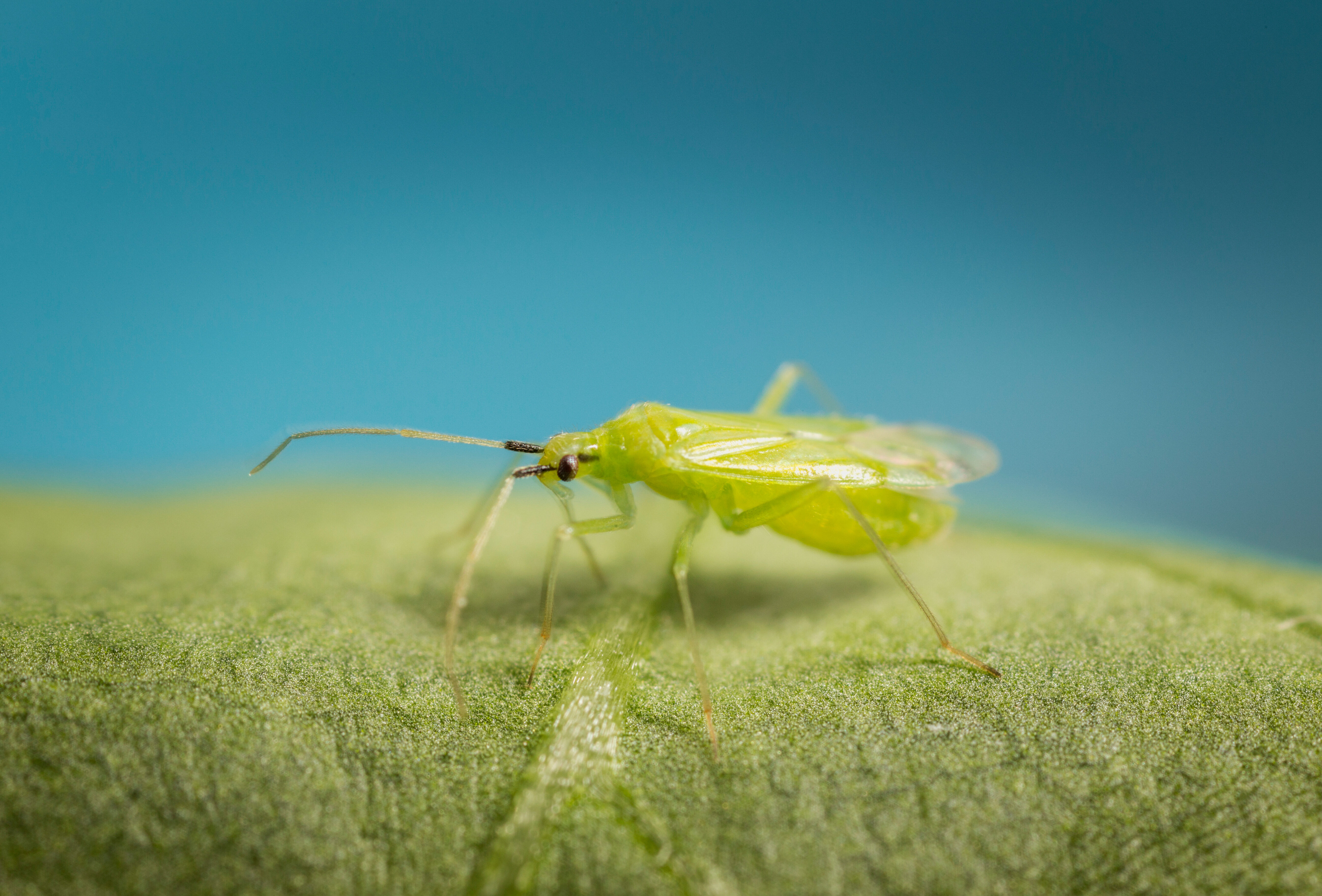 В новый сезон с новыми достижениями!