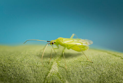 В новый сезон с новыми достижениями!