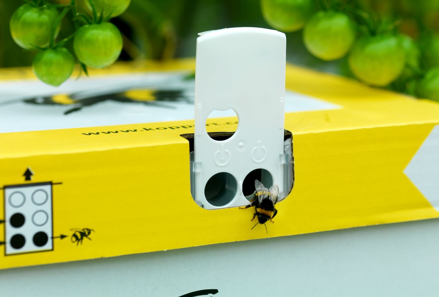 Шмели Natupol – сохраняем хладнокровие и работаем в жару!