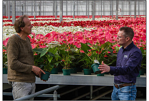 Amazone Plants продолжает путь органического выращивания