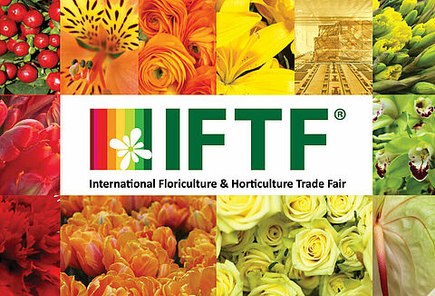 Выставка IFTF 2019