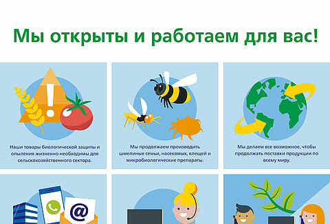 Мы открыты!