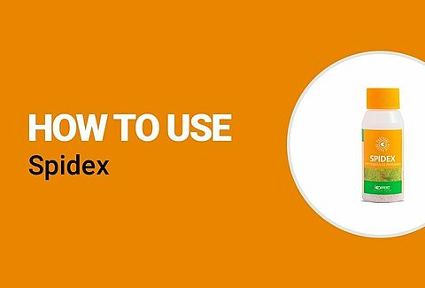 Новые видео “How-to-use” на YouTube