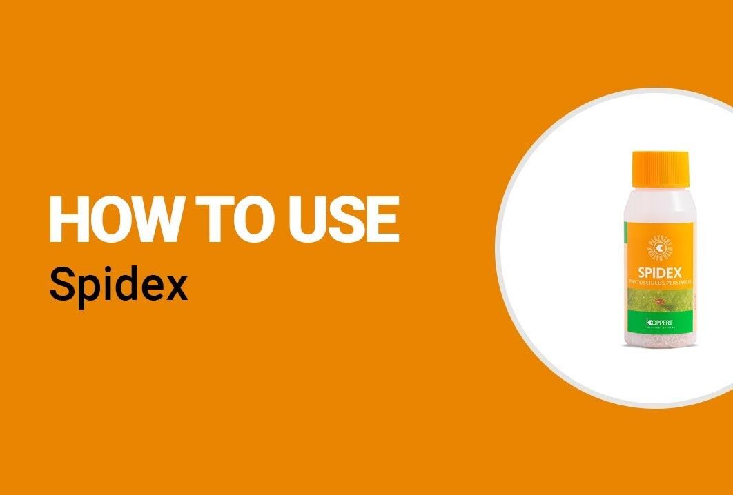 Новые видео “How-to-use” на YouTube