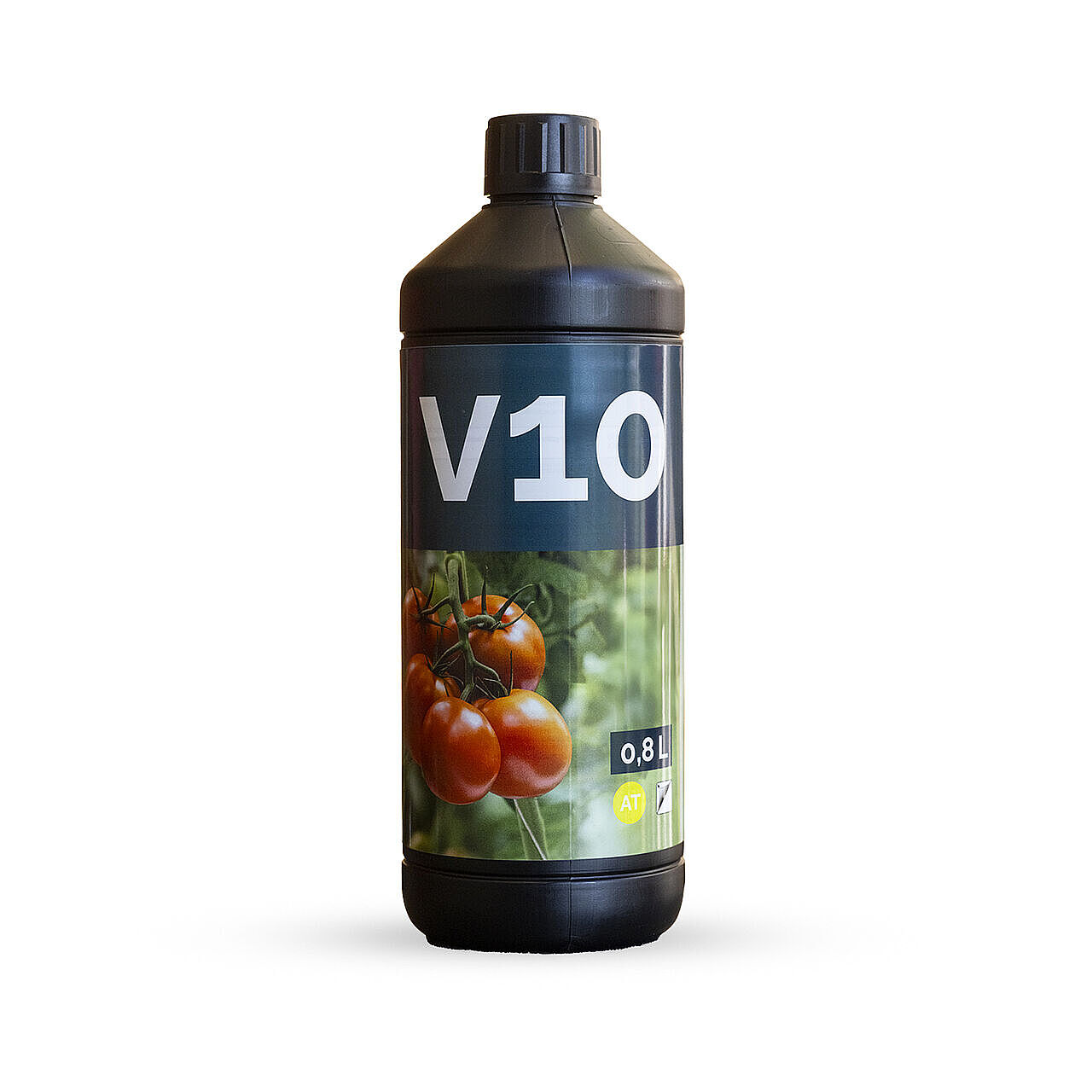 V10.jpg