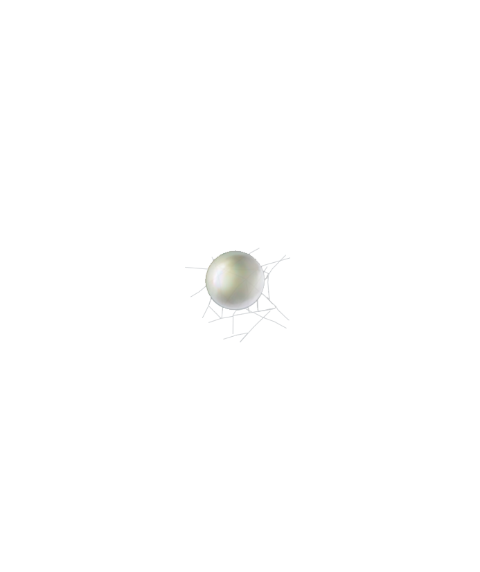 Tetranychus urticae egg