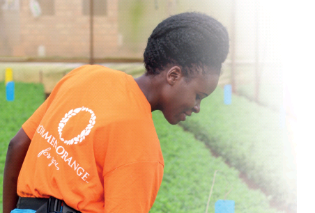 Новая цель компании Dümmen Orange