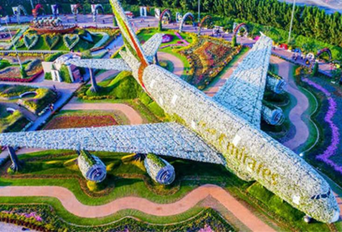 Побивая цветочные мировые рекорды