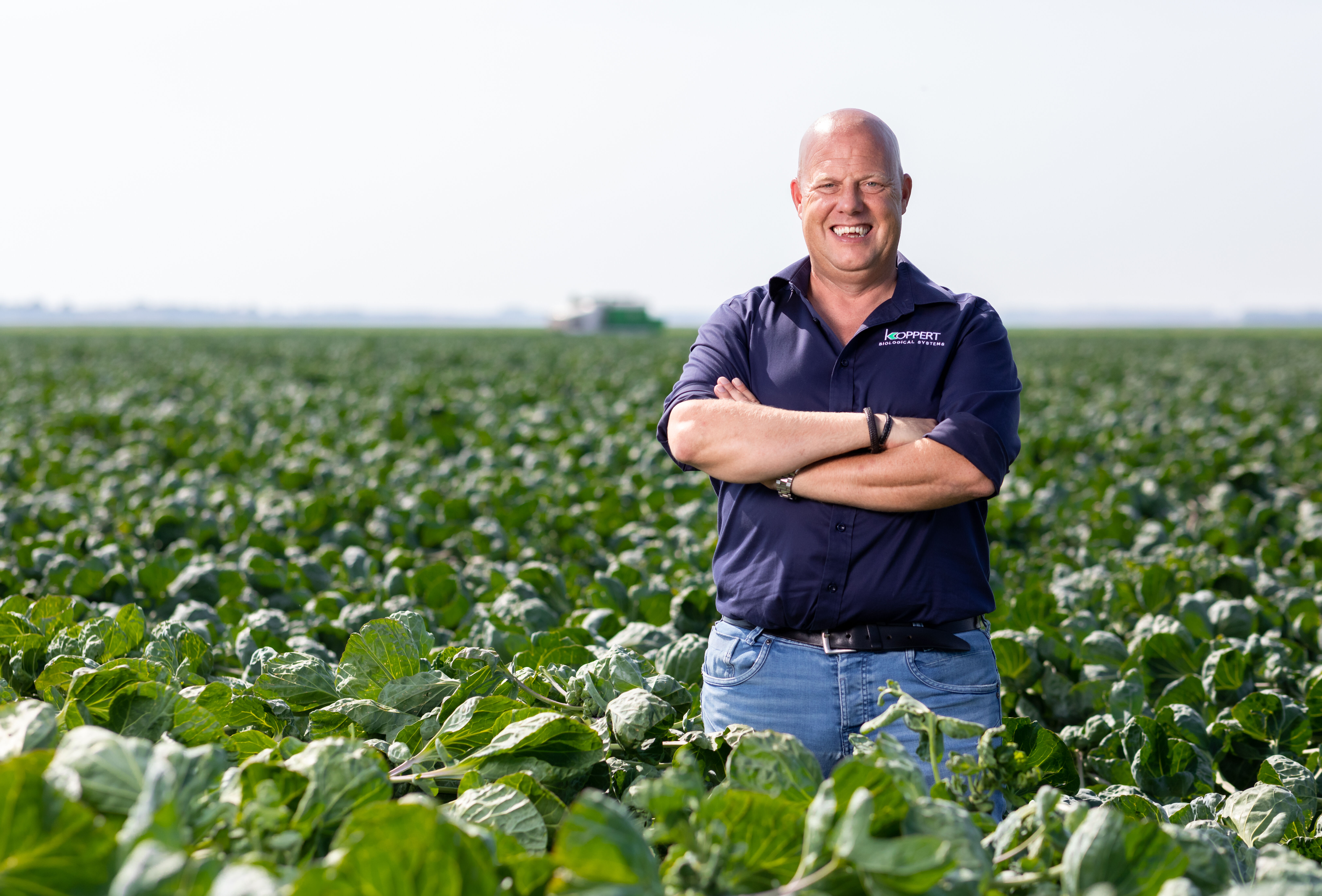 Использование Trianum-G в открытом грунте и на пахотных землях