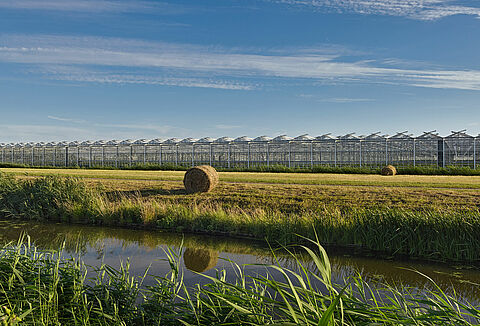 Итоги первой международной агрономической викторины