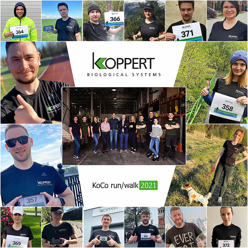 KoCo run/walk 2021
