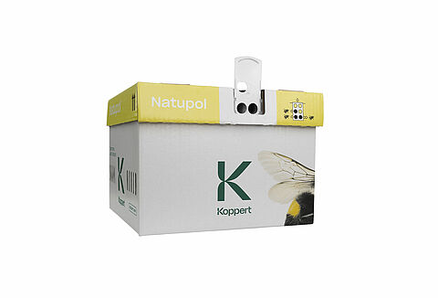 Контрольный лист по опылению томатов