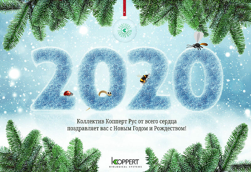 С Новым Годом!
