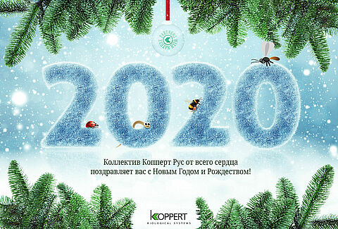 Happy New Year!