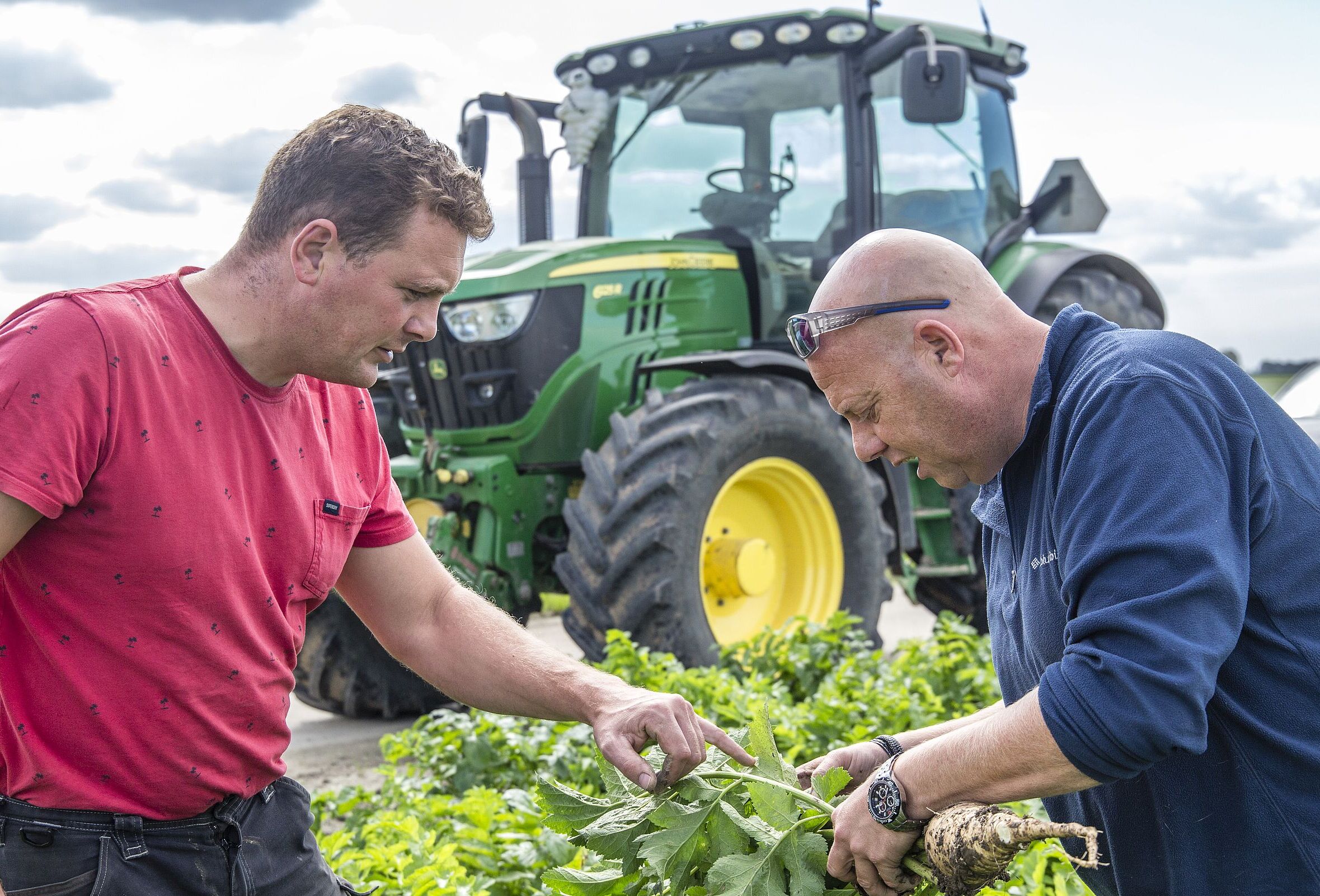 Опыт использования Trianum