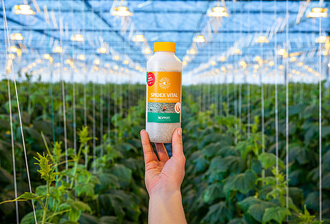 Spidex Vital: Ваш партнер в борьбе с паутинным клещом