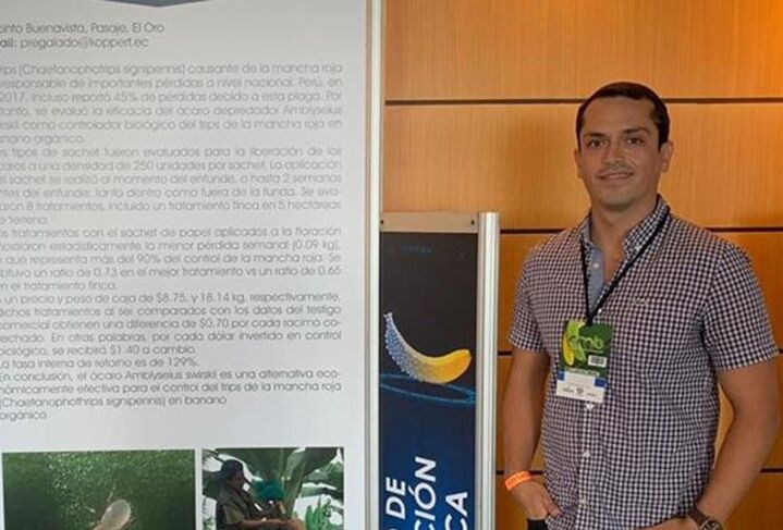 Копперт Эквадор: Бананы вперед!