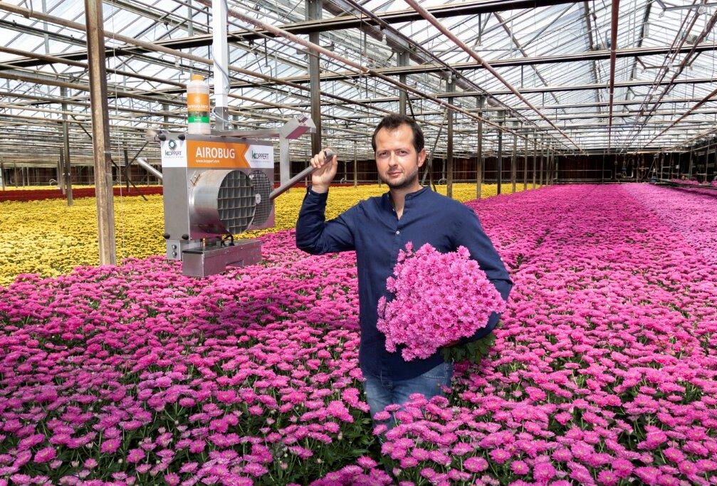 Использование биометода на юге Италии