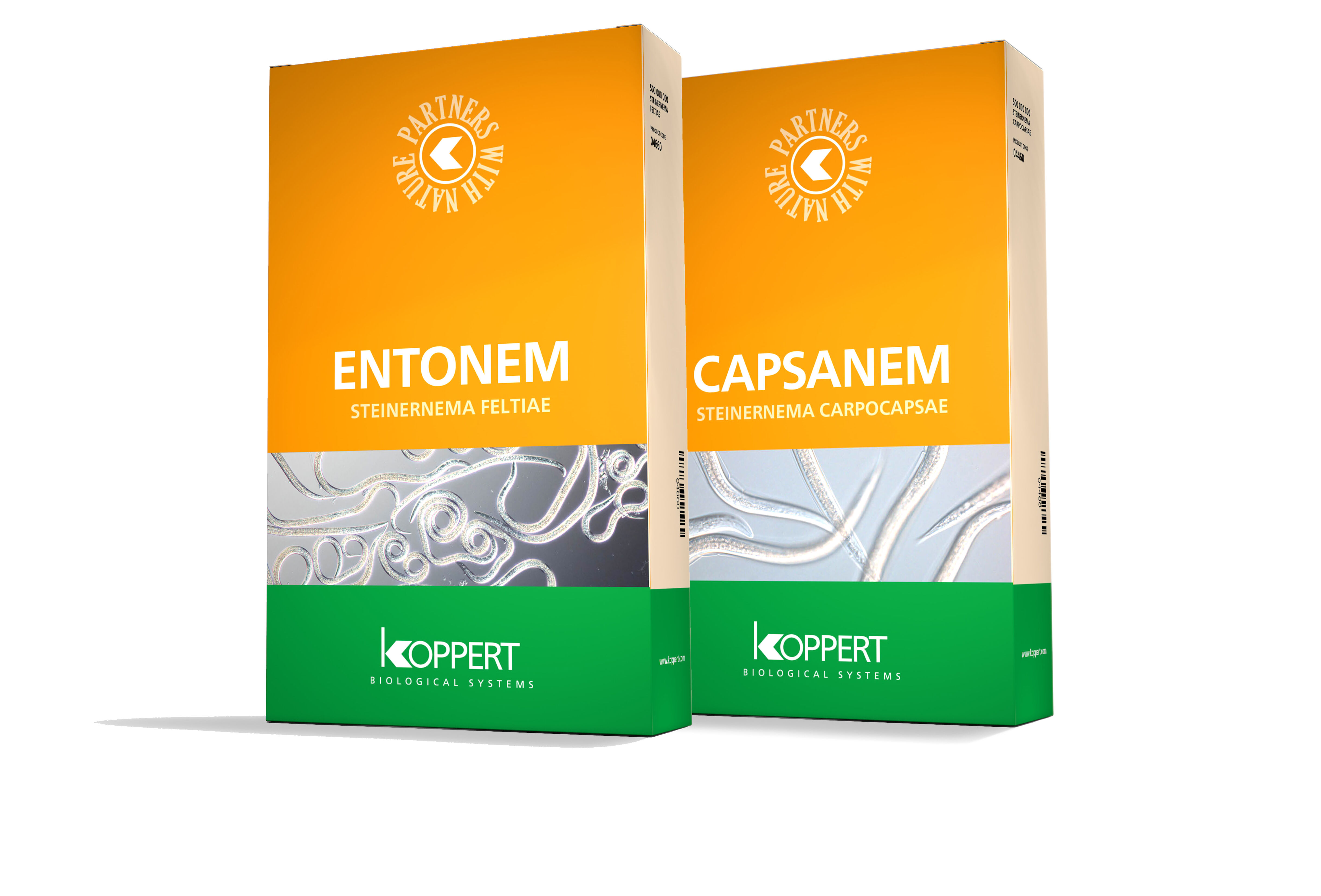 Нематоды - изменения к лучшему