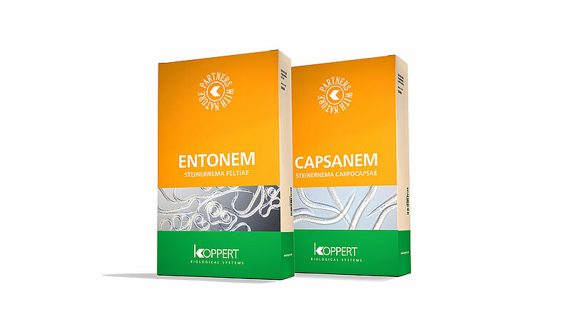 Entonem и Capsanem