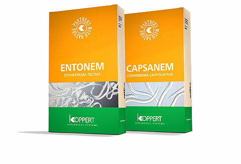 Нематоды - изменения к лучшему