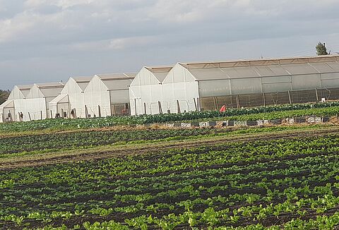 Кения: Koppert инвестирует в Латийский (Latia) учебный центр