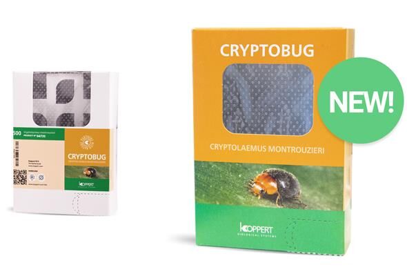 Новая упаковка Cryptobug