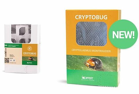 Новая упаковка Cryptobug