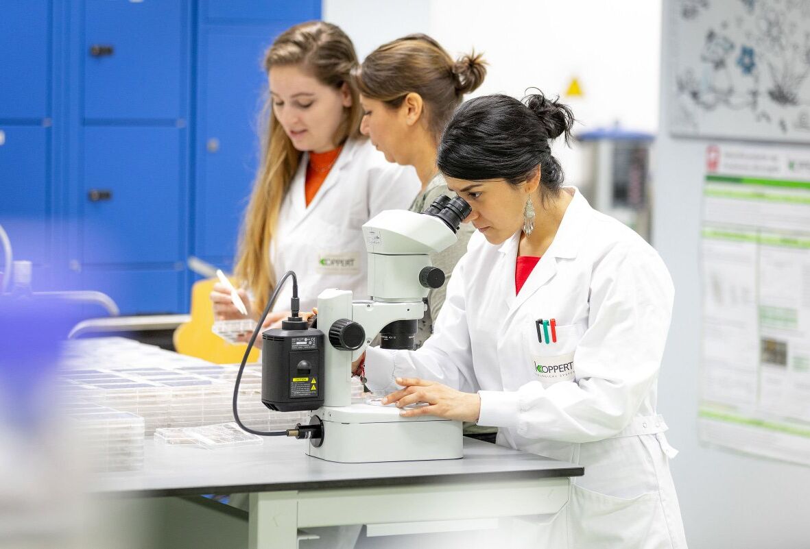 «Невидимые герои» Копперт