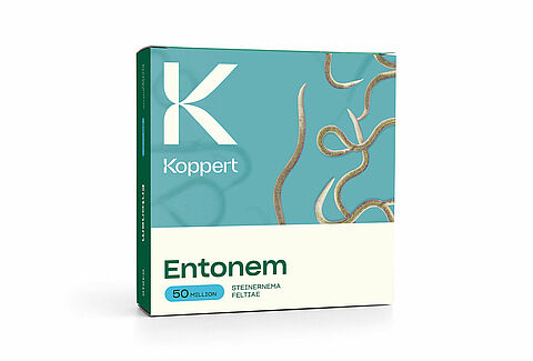 Entonem