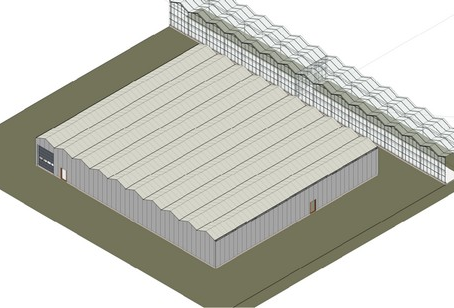 Выращивание тюльпанов в российских условиях