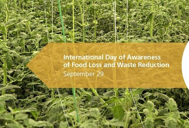 Внимание к проблемам пищевых потерь и отходов